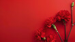 red carnations on side of pastel red colored background with copy space
