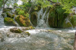 Water flowing and splashing in all round through and over greenery into pond Croatia