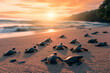 baby turtles on the sandy beach and crawl to the ocean. Generative AI