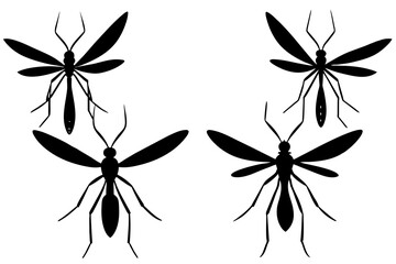mosquito silhouette vector illustration