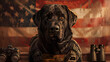A noble Black Labrador Retriever wearing a tactical, American Flag, Generative Ai