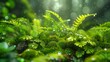 Photorealistic image of moss and ferns, closeup, forest background, vibrant green hues ,3DCG,high resulution