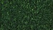 green background,background of grass