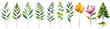 Different trees leaves, stem, botanical nature eleements for editing, wedding cards, scrapbooks, greetings cards, sage green colors, tree, flower, leaf steam set collection in 1 image, cutout
