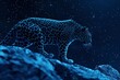A leopard is walking on a rocky surface in the dark