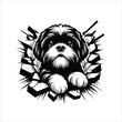 © Shineoxstock - Shih Tzu Dog looking breaks through a breakthrough wall Vector