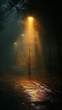 Fototapeta Perspektywa 3d - Street Light Illuminating Foggy Night