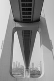 Fototapeta Sawanna - Chongqing Nanjimen Rail Bridge.