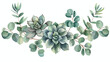 Decorative botanical watercolor arrangement. Succulent