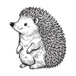 Line art of hedgehog cartoon standing vector