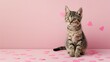 a charming minimal homegrown feline on a pink background with affection hearts