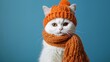 an entertaining white feline sitting in an orange sewed cap and scarf on a blue background