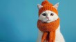 an entertaining white feline sitting in an orange sewed cap and scarf on a blue background