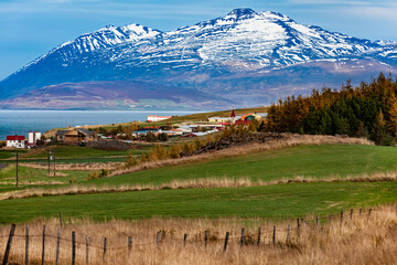 Wall Mural - Coastal landscape - North coast of Iceland