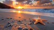  A starfish on a sandy beach as the sun sets behind the ocean and clouds fill the sky