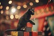 A sleek black cat balances precariously on a giant stack of colorful toy blocks. Its tail twitches with concentration as it reaches for a dangling red string with a toy mouse attached