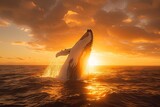Fototapeta  - majestic whale breaching the surface of the ocean at sunset