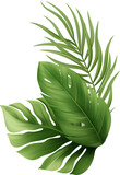 Fototapeta Panele - Palm Leaves