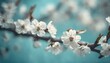 A serene spring scene: light blue backdrop, scattered white cherry blossoms, some attached to branches.