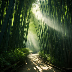 Poster - A tranquil bamboo forest with sunlight filtering through the leaves