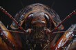 A dramatic close-up reveals the intricate details of a cockroach's face.