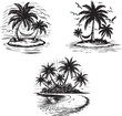 © Shohangraphics420 - A stunning, monochromatic hand-drawn vector illustration of a tropical island