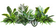 Green and variegated leaves of tropical foliage plants bush with various types of ferns, philodendron, Calathea peacock plant, and Ti plant, isolated on transparent background
