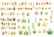 beautify leaves set watercolor painted on transparent background, from different tree species like chestnut, oak, birch
