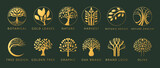 Fototapeta Pokój dzieciecy - Tree logo. Icon nature, oak and olive. Circle symbol, design abstract line, branch leaves gold label, emblem vine, organic products logotype, grow botanic. Vector modern garish isolated illustration