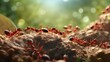 A lifelike HD animation capturing the moment of a red worker ant engaging in its tasks, while other ants start to materialize against a backdrop featuring subtle tones of beige and lush green