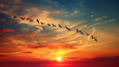 A flock of migratory birds flying in a V formation across a sunset sky symbolizing harmony and journey.