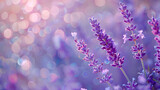 Fototapeta Lawenda - A lavender purple background for creative and imaginative advertising visuals.