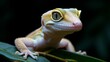   Close-up of a gecko on a green leaf, eyes fixed on the camera with ablack background