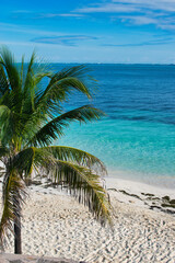 Wall Mural - ISLA MUJERES ISLAND, MEXICO - DECEMBER 2021: The white sand beach with umbrellas, bungalow bar, boats, birds, and cocos palms, turquoise caribbean sea, Isla Mujeres island, Caribbean Sea, Cancun. 