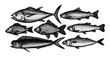 Fish sketch collection. Hand drawn vector illustration.