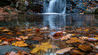 A reflective pool at the base of a gentle waterfall surrounded by autumn leaves.