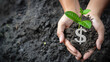 Mãos plantando uma planta verde com cifrão de dólar 