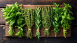 Assorted fresh herbs tied in bunches on a wooden background for culinary use.