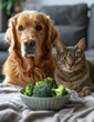 cat and dog sitting at the table with bowl of fresh broccoli