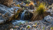 A small waterfall trickling down a rocky outcrop in a desert landscape oasis-like.