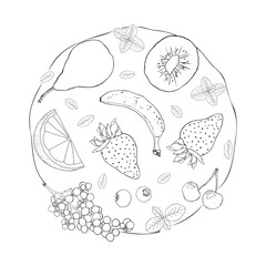 Wall Mural - Fruit illustration sketch art black and white circle
