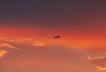 Wall Mural - Scenic view of an airplane flying in the sky at pink sunset