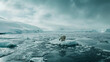 Polar bears stranded on melting ice floes in a vast open sea highlighting the urgency of climate action.