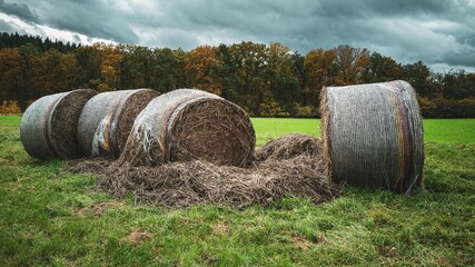 Wall Mural - Green field with covered hay bales against autumn trees and dramatic sky