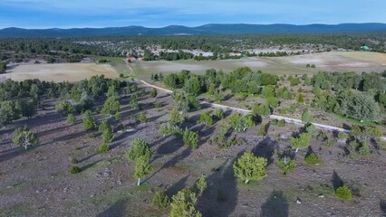 Wall Mural - Aerial view from a drone of juniper forests in the surroundings of the town of La Cuenca in the Municipality of Golmayo. Fronts Region. Province of Soria. Castile and Leon. Spain. Europe