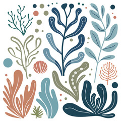 Wall Mural - seaweed icons set. different cute colored algae. sea plants icon isolated on white