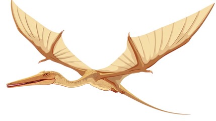 Wall Mural - Clipart vector illustration of a flying dinosaur, Pterodactyl.