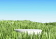 Stand product display podium in meadow with spring season. 3D rendering