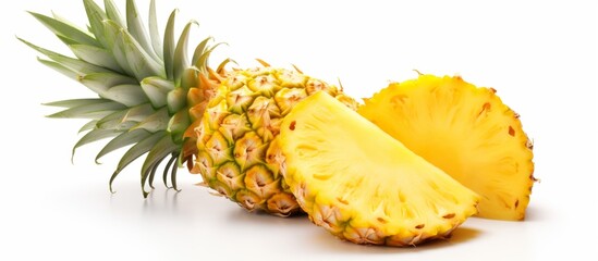 Sticker - A pineapple, a tropical terrestrial plant, is a popular ingredient in cuisine. This natural produce is a flowering plant pollinated by hummingbirds. It is not a vegetable or conifer