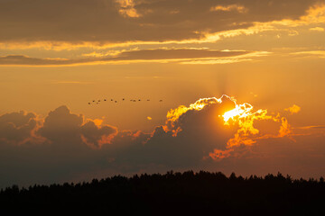 Wall Mural - Beautiful, fairy-tale sunset in a cloudy sky